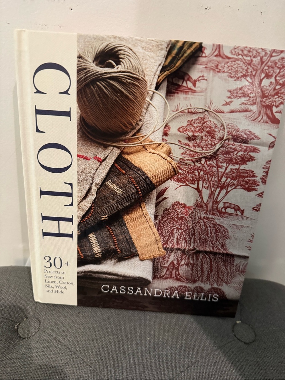 CLOTH Book by Casandra Ellis